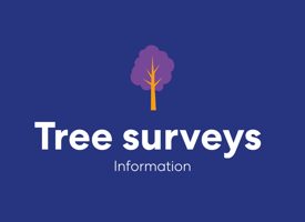 Tree surveys taking place in your area