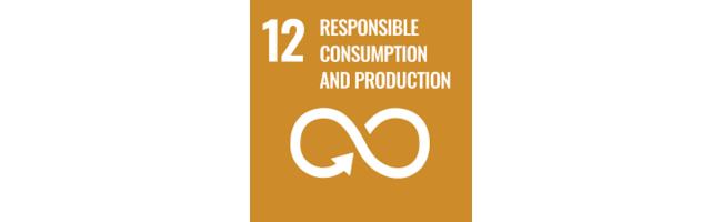 UN sustainable development goals: 12 - responsible consumption and production